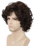 Men Short Curly Brown Wig Anime Cosplay Wigs Halloween Cosplay Costume Hair Wig